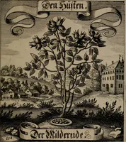 An illustration from Der Fruchtbringenden Geselschaft Nahmen, Vorhaben, Gemählde und Wörter : nach jedes Einnahme ordentlich in Kupfer gestochen, und in achtzeilige Reimgesetze verfasset (1646)