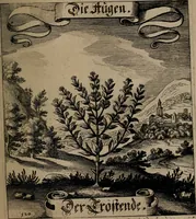 An illustration from Der Fruchtbringenden Geselschaft Nahmen, Vorhaben, Gemählde und Wörter : nach jedes Einnahme ordentlich in Kupfer gestochen, und in achtzeilige Reimgesetze verfasset (1646)