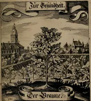 An illustration from Der Fruchtbringenden Geselschaft Nahmen, Vorhaben, Gemählde und Wörter : nach jedes Einnahme ordentlich in Kupfer gestochen, und in achtzeilige Reimgesetze verfasset (1646)