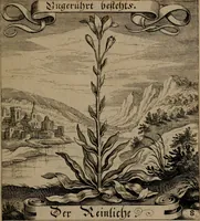 An illustration from Der Fruchtbringenden Geselschaft Nahmen, Vorhaben, Gemählde und Wörter : nach jedes Einnahme ordentlich in Kupfer gestochen, und in achtzeilige Reimgesetze verfasset (1646)