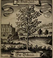 An illustration from Der Fruchtbringenden Geselschaft Nahmen, Vorhaben, Gemählde und Wörter : nach jedes Einnahme ordentlich in Kupfer gestochen, und in achtzeilige Reimgesetze verfasset (1646)