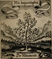 An illustration from Der Fruchtbringenden Geselschaft Nahmen, Vorhaben, Gemählde und Wörter : nach jedes Einnahme ordentlich in Kupfer gestochen, und in achtzeilige Reimgesetze verfasset (1646)