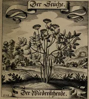 An illustration from Der Fruchtbringenden Geselschaft Nahmen, Vorhaben, Gemählde und Wörter : nach jedes Einnahme ordentlich in Kupfer gestochen, und in achtzeilige Reimgesetze verfasset (1646)