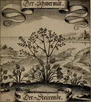 An illustration from Der Fruchtbringenden Geselschaft Nahmen, Vorhaben, Gemählde und Wörter : nach jedes Einnahme ordentlich in Kupfer gestochen, und in achtzeilige Reimgesetze verfasset (1646)