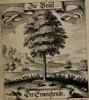 An illustration from Der Fruchtbringenden Geselschaft Nahmen, Vorhaben, Gemählde und Wörter : nach jedes Einnahme ordentlich in Kupfer gestochen, und in achtzeilige Reimgesetze verfasset (1646)