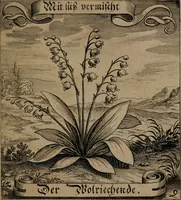 An illustration from Der Fruchtbringenden Geselschaft Nahmen, Vorhaben, Gemählde und Wörter : nach jedes Einnahme ordentlich in Kupfer gestochen, und in achtzeilige Reimgesetze verfasset (1646)