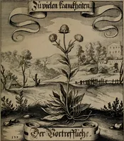 An illustration from Der Fruchtbringenden Geselschaft Nahmen, Vorhaben, Gemählde und Wörter : nach jedes Einnahme ordentlich in Kupfer gestochen, und in achtzeilige Reimgesetze verfasset (1646)