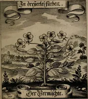 An illustration from Der Fruchtbringenden Geselschaft Nahmen, Vorhaben, Gemählde und Wörter : nach jedes Einnahme ordentlich in Kupfer gestochen, und in achtzeilige Reimgesetze verfasset (1646)