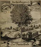 An illustration from Der Fruchtbringenden Geselschaft Nahmen, Vorhaben, Gemählde und Wörter : nach jedes Einnahme ordentlich in Kupfer gestochen, und in achtzeilige Reimgesetze verfasset (1646)