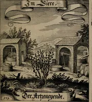 An illustration from Der Fruchtbringenden Geselschaft Nahmen, Vorhaben, Gemählde und Wörter : nach jedes Einnahme ordentlich in Kupfer gestochen, und in achtzeilige Reimgesetze verfasset (1646)