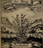An illustration from Der Fruchtbringenden Geselschaft Nahmen, Vorhaben, Gemählde und Wörter : nach jedes Einnahme ordentlich in Kupfer gestochen, und in achtzeilige Reimgesetze verfasset (1646)