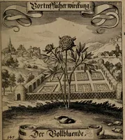 An illustration from Der Fruchtbringenden Geselschaft Nahmen, Vorhaben, Gemählde und Wörter : nach jedes Einnahme ordentlich in Kupfer gestochen, und in achtzeilige Reimgesetze verfasset (1646)
