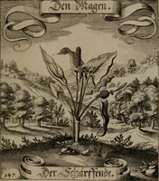 An illustration from Der Fruchtbringenden Geselschaft Nahmen, Vorhaben, Gemählde und Wörter : nach jedes Einnahme ordentlich in Kupfer gestochen, und in achtzeilige Reimgesetze verfasset (1646)