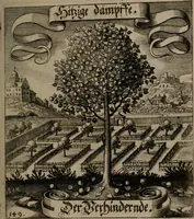 An illustration from Der Fruchtbringenden Geselschaft Nahmen, Vorhaben, Gemählde und Wörter : nach jedes Einnahme ordentlich in Kupfer gestochen, und in achtzeilige Reimgesetze verfasset (1646)