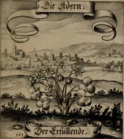 An illustration from Der Fruchtbringenden Geselschaft Nahmen, Vorhaben, Gemählde und Wörter : nach jedes Einnahme ordentlich in Kupfer gestochen, und in achtzeilige Reimgesetze verfasset (1646)