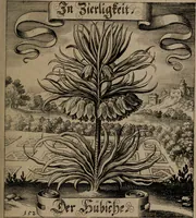 An illustration from Der Fruchtbringenden Geselschaft Nahmen, Vorhaben, Gemählde und Wörter : nach jedes Einnahme ordentlich in Kupfer gestochen, und in achtzeilige Reimgesetze verfasset (1646)