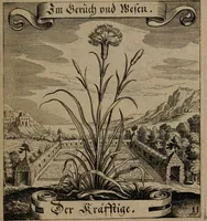 An illustration from Der Fruchtbringenden Geselschaft Nahmen, Vorhaben, Gemählde und Wörter : nach jedes Einnahme ordentlich in Kupfer gestochen, und in achtzeilige Reimgesetze verfasset (1646)