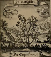 An illustration from Der Fruchtbringenden Geselschaft Nahmen, Vorhaben, Gemählde und Wörter : nach jedes Einnahme ordentlich in Kupfer gestochen, und in achtzeilige Reimgesetze verfasset (1646)