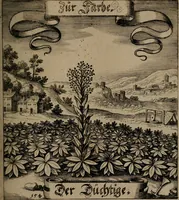 An illustration from Der Fruchtbringenden Geselschaft Nahmen, Vorhaben, Gemählde und Wörter : nach jedes Einnahme ordentlich in Kupfer gestochen, und in achtzeilige Reimgesetze verfasset (1646)