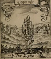 An illustration from Der Fruchtbringenden Geselschaft Nahmen, Vorhaben, Gemählde und Wörter : nach jedes Einnahme ordentlich in Kupfer gestochen, und in achtzeilige Reimgesetze verfasset (1646)
