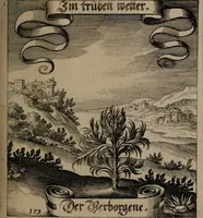 An illustration from Der Fruchtbringenden Geselschaft Nahmen, Vorhaben, Gemählde und Wörter : nach jedes Einnahme ordentlich in Kupfer gestochen, und in achtzeilige Reimgesetze verfasset (1646)