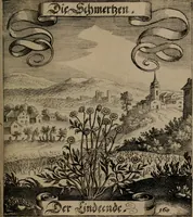 An illustration from Der Fruchtbringenden Geselschaft Nahmen, Vorhaben, Gemählde und Wörter : nach jedes Einnahme ordentlich in Kupfer gestochen, und in achtzeilige Reimgesetze verfasset (1646)