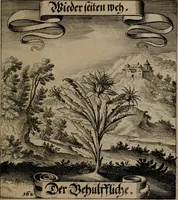 An illustration from Der Fruchtbringenden Geselschaft Nahmen, Vorhaben, Gemählde und Wörter : nach jedes Einnahme ordentlich in Kupfer gestochen, und in achtzeilige Reimgesetze verfasset (1646)
