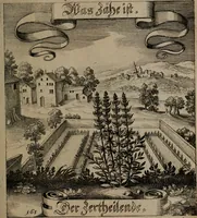 An illustration from Der Fruchtbringenden Geselschaft Nahmen, Vorhaben, Gemählde und Wörter : nach jedes Einnahme ordentlich in Kupfer gestochen, und in achtzeilige Reimgesetze verfasset (1646)