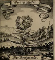 An illustration from Der Fruchtbringenden Geselschaft Nahmen, Vorhaben, Gemählde und Wörter : nach jedes Einnahme ordentlich in Kupfer gestochen, und in achtzeilige Reimgesetze verfasset (1646)