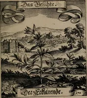 An illustration from Der Fruchtbringenden Geselschaft Nahmen, Vorhaben, Gemählde und Wörter : nach jedes Einnahme ordentlich in Kupfer gestochen, und in achtzeilige Reimgesetze verfasset (1646)