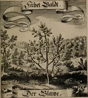An illustration from Der Fruchtbringenden Geselschaft Nahmen, Vorhaben, Gemählde und Wörter : nach jedes Einnahme ordentlich in Kupfer gestochen, und in achtzeilige Reimgesetze verfasset (1646)