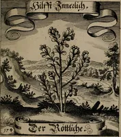 An illustration from Der Fruchtbringenden Geselschaft Nahmen, Vorhaben, Gemählde und Wörter : nach jedes Einnahme ordentlich in Kupfer gestochen, und in achtzeilige Reimgesetze verfasset (1646)