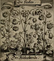 An illustration from Der Fruchtbringenden Geselschaft Nahmen, Vorhaben, Gemählde und Wörter : nach jedes Einnahme ordentlich in Kupfer gestochen, und in achtzeilige Reimgesetze verfasset (1646)