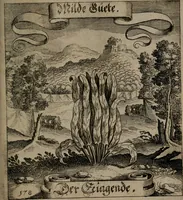 An illustration from Der Fruchtbringenden Geselschaft Nahmen, Vorhaben, Gemählde und Wörter : nach jedes Einnahme ordentlich in Kupfer gestochen, und in achtzeilige Reimgesetze verfasset (1646)