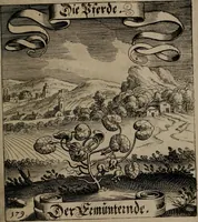 An illustration from Der Fruchtbringenden Geselschaft Nahmen, Vorhaben, Gemählde und Wörter : nach jedes Einnahme ordentlich in Kupfer gestochen, und in achtzeilige Reimgesetze verfasset (1646)