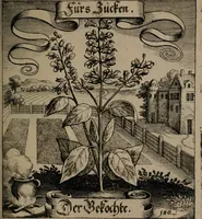 An illustration from Der Fruchtbringenden Geselschaft Nahmen, Vorhaben, Gemählde und Wörter : nach jedes Einnahme ordentlich in Kupfer gestochen, und in achtzeilige Reimgesetze verfasset (1646)