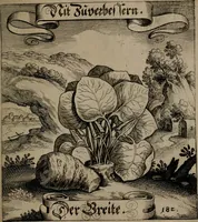An illustration from Der Fruchtbringenden Geselschaft Nahmen, Vorhaben, Gemählde und Wörter : nach jedes Einnahme ordentlich in Kupfer gestochen, und in achtzeilige Reimgesetze verfasset (1646)