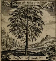 An illustration from Der Fruchtbringenden Geselschaft Nahmen, Vorhaben, Gemählde und Wörter : nach jedes Einnahme ordentlich in Kupfer gestochen, und in achtzeilige Reimgesetze verfasset (1646)