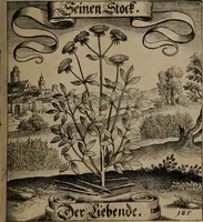 An illustration from Der Fruchtbringenden Geselschaft Nahmen, Vorhaben, Gemählde und Wörter : nach jedes Einnahme ordentlich in Kupfer gestochen, und in achtzeilige Reimgesetze verfasset (1646)