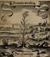 An illustration from Der Fruchtbringenden Geselschaft Nahmen, Vorhaben, Gemählde und Wörter : nach jedes Einnahme ordentlich in Kupfer gestochen, und in achtzeilige Reimgesetze verfasset (1646)