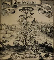 An illustration from Der Fruchtbringenden Geselschaft Nahmen, Vorhaben, Gemählde und Wörter : nach jedes Einnahme ordentlich in Kupfer gestochen, und in achtzeilige Reimgesetze verfasset (1646)
