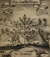 An illustration from Der Fruchtbringenden Geselschaft Nahmen, Vorhaben, Gemählde und Wörter : nach jedes Einnahme ordentlich in Kupfer gestochen, und in achtzeilige Reimgesetze verfasset (1646)