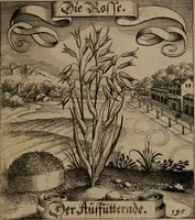 An illustration from Der Fruchtbringenden Geselschaft Nahmen, Vorhaben, Gemählde und Wörter : nach jedes Einnahme ordentlich in Kupfer gestochen, und in achtzeilige Reimgesetze verfasset (1646)