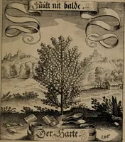 An illustration from Der Fruchtbringenden Geselschaft Nahmen, Vorhaben, Gemählde und Wörter : nach jedes Einnahme ordentlich in Kupfer gestochen, und in achtzeilige Reimgesetze verfasset (1646)