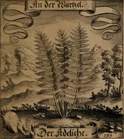 An illustration from Der Fruchtbringenden Geselschaft Nahmen, Vorhaben, Gemählde und Wörter : nach jedes Einnahme ordentlich in Kupfer gestochen, und in achtzeilige Reimgesetze verfasset (1646)