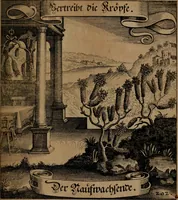 An illustration from Der Fruchtbringenden Geselschaft Nahmen, Vorhaben, Gemählde und Wörter : nach jedes Einnahme ordentlich in Kupfer gestochen, und in achtzeilige Reimgesetze verfasset (1646)