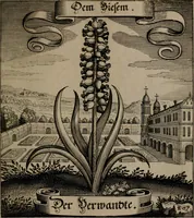 An illustration from Der Fruchtbringenden Geselschaft Nahmen, Vorhaben, Gemählde und Wörter : nach jedes Einnahme ordentlich in Kupfer gestochen, und in achtzeilige Reimgesetze verfasset (1646)