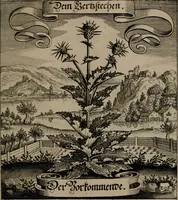 An illustration from Der Fruchtbringenden Geselschaft Nahmen, Vorhaben, Gemählde und Wörter : nach jedes Einnahme ordentlich in Kupfer gestochen, und in achtzeilige Reimgesetze verfasset (1646)