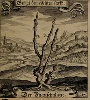 An illustration from Der Fruchtbringenden Geselschaft Nahmen, Vorhaben, Gemählde und Wörter : nach jedes Einnahme ordentlich in Kupfer gestochen, und in achtzeilige Reimgesetze verfasset (1646)