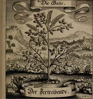 An illustration from Der Fruchtbringenden Geselschaft Nahmen, Vorhaben, Gemählde und Wörter : nach jedes Einnahme ordentlich in Kupfer gestochen, und in achtzeilige Reimgesetze verfasset (1646)